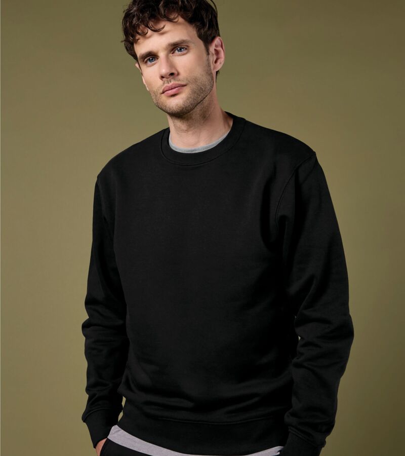 Regular Fit Sweatshirt Thumbnail