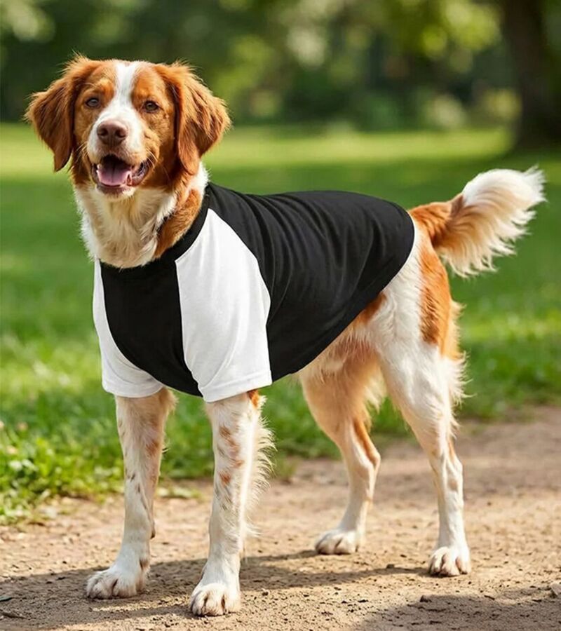 Dog’s raglan t-shirt Thumbnail